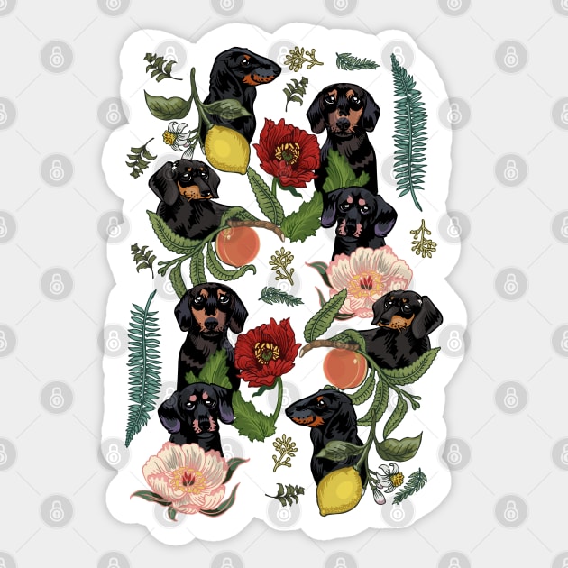 Botanical and Black Dachshund Sticker by huebucket